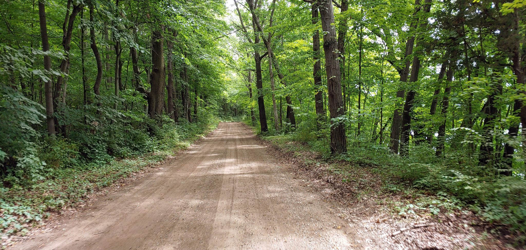 2022 Tennessee Gravel Camp Warren Cycling Camps & Tours